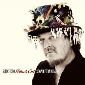 BLACK CAT ZUCCHERO