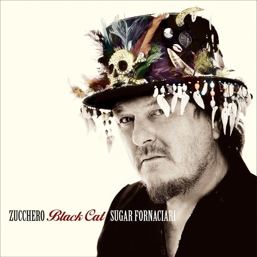 BLACK CAT ZUCCHERO